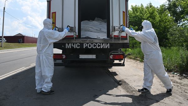 Россия передала Украине 1 тыс. тел погибших боевиков ВСУ
