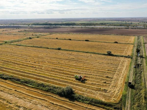 Землю в Подмосковье станет продавать проще: что изменилось для собственников — новости экологии на ECOportal