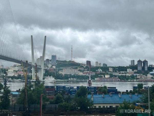 Планы по развитию паромного сообщения между Сокчо и Владивостоком обсудили в Приморье