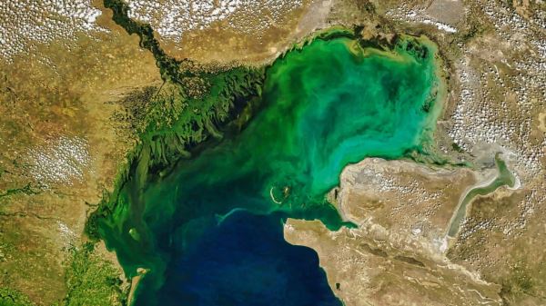 Каспийское море мелеет: новая экологическая катастрофа? — новости экологии на ECOportal