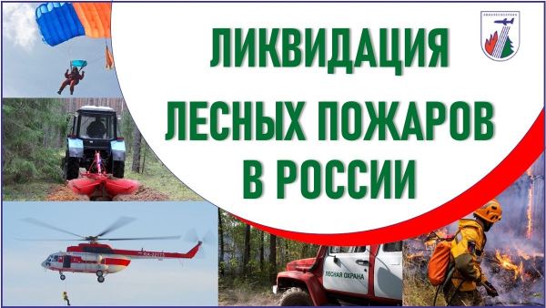 О лесопожарной обстановке в России на 19.09.2025 — новости экологии на ECOportal