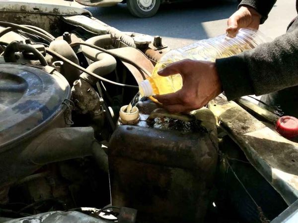 Ученые нашли экологичную альтернативу моторному маслу — новости экологии на ECOportal