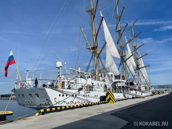 Парусники "Мир" и "Крузенштерн" повстречались на Балтике