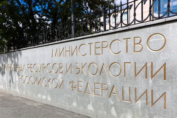 Минприроды предложило маркировать собак и кошек - новости экологии на ECOportal