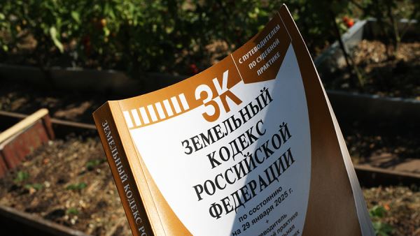 Как и у кого будут изымать земельные участки? Ответы на главные вопросы